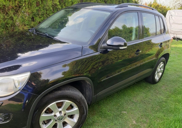 Volkswagen Tiguan cena 26500 przebieg: 289800, rok produkcji 2007 z Glinojeck małe 154